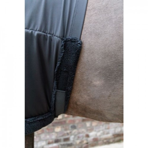 Kentucky Chest Protection