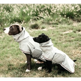 Kentucky Dog rain coat