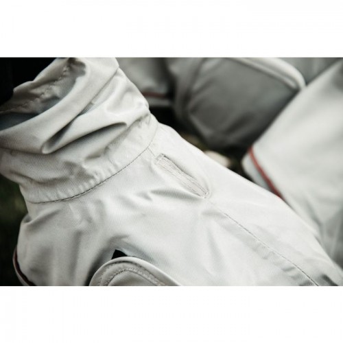 Kentucky Dog rain coat