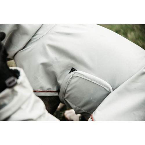 Kentucky Dog rain coat