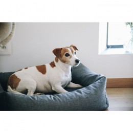 Kentucky Dog Bed Soft Sleep