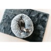 Kentucky Dog Bed Comfort Donut