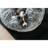 Kentucky Dog Bed Comfort Donut