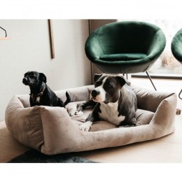 Kentucky Dog Bed Velvet