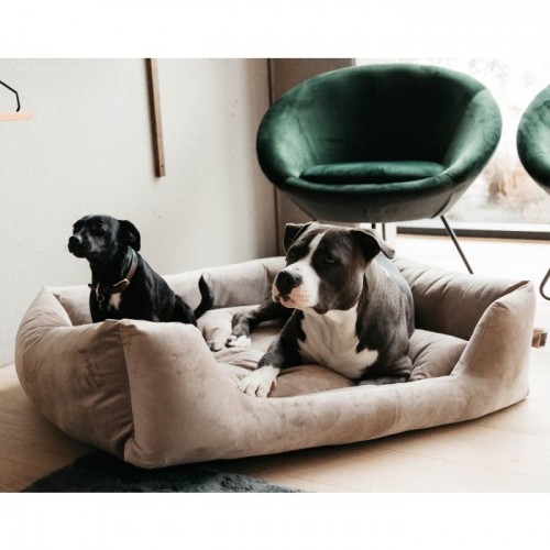 Kentucky Dog Bed Velvet
