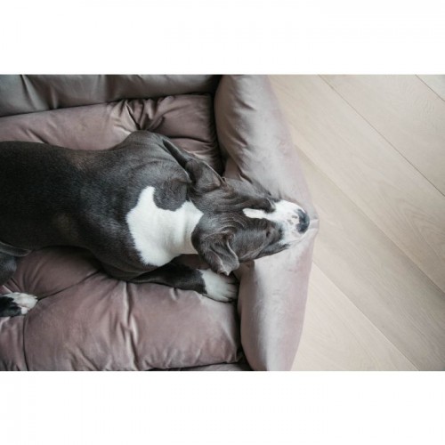 Kentucky Dog Bed Velvet