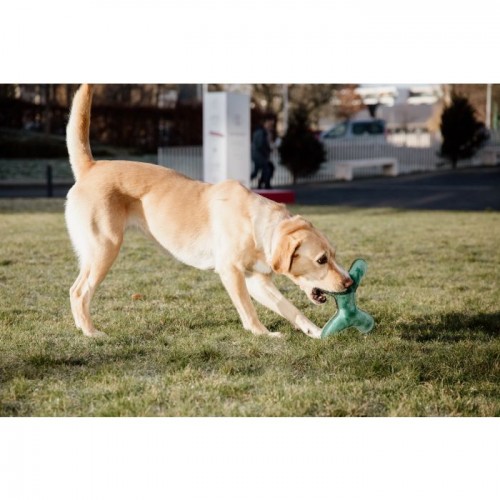 Kentucky Dog Toy Pastel Bone