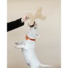 Kentucky Dog Toy Pastel Bone