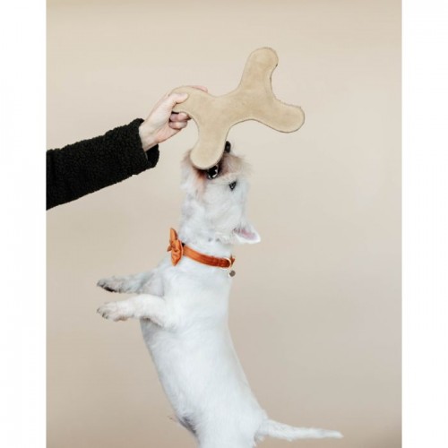 Kentucky Dog Toy Pastel Bone
