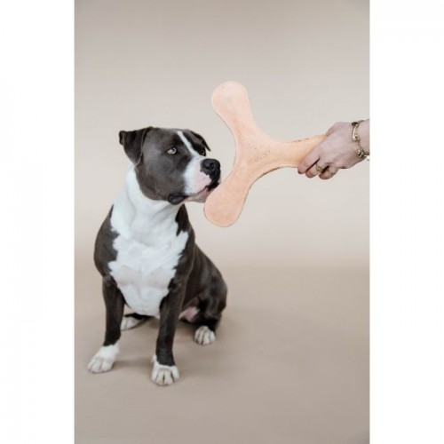 Kentucky Dog Toy Pastel Boomerang