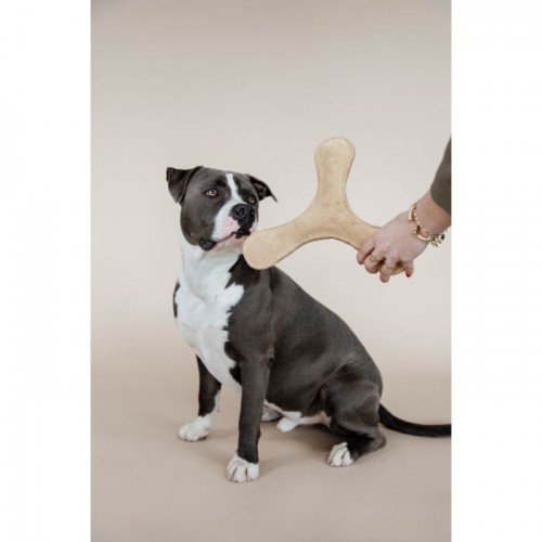 Kentucky Dog Toy Pastel Boomerang