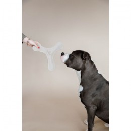 Kentucky Dog Toy Pastel Boomerang