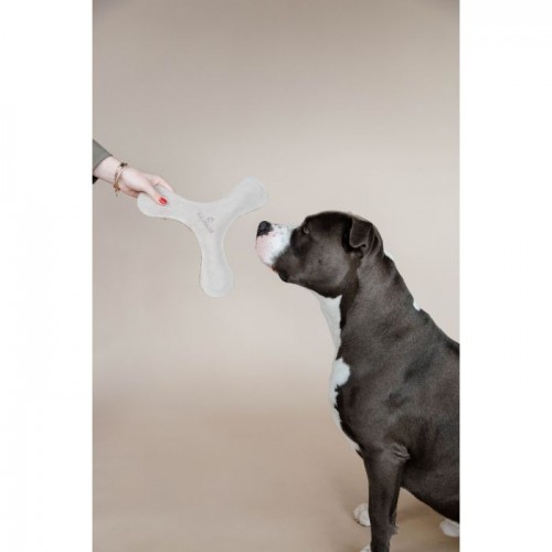 Kentucky Dog Toy Pastel Boomerang