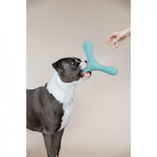 Kentucky Dog Toy Pastel Boomerang