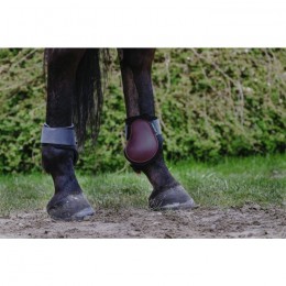 Riding World Fetlock Boots