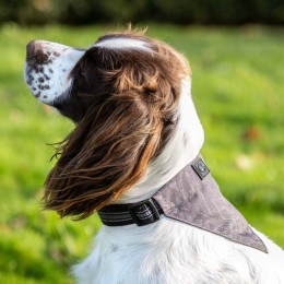 QHP FW'24 Dog collar with bandana