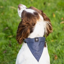 QHP FW'24 Dog collar with bandana
