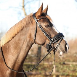 QHP Noseband Pad Air Mesh