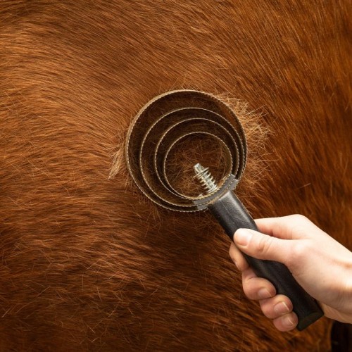 QHP Shedding blade spiral