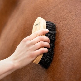 QHP Dandy brush magnet