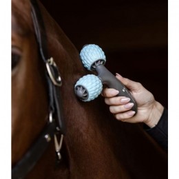 Waldhausen Health   Care massage roller Comfort Creator