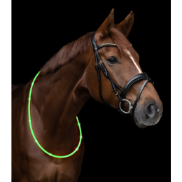 Waldhausen LED collar