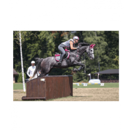 Equine Fusion Active Jogging Shoe