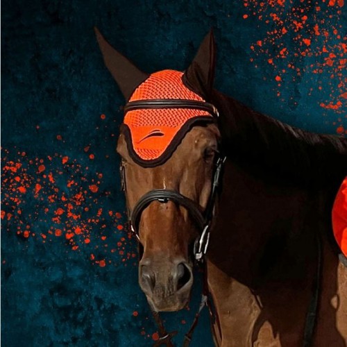 eQuick Earnet