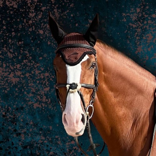 eQuick Earnet