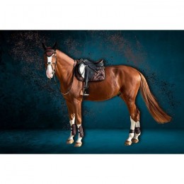 eQuick Jumping Saddle Pad