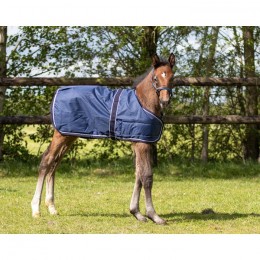 QHP Foal Rug turnout 100gr