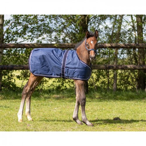 QHP Foal Rug turnout 100gr