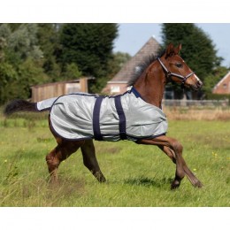 QHP Foal Fly Rug