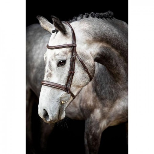 Montar bridle Hunter