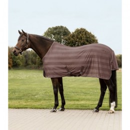 Waldhausen Economic Fly Rug