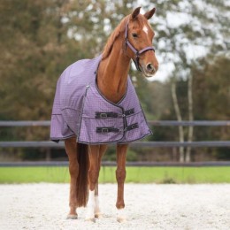 QHP FW'24 Turnout Rug Collection 150gr