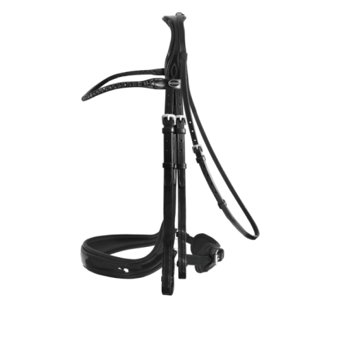 Passier Double Bridle Moonlight