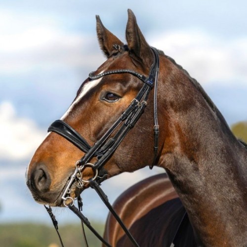 Passier Double Bridle Moonlight