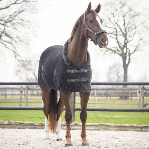 QHP Show Blanket Sensisoft