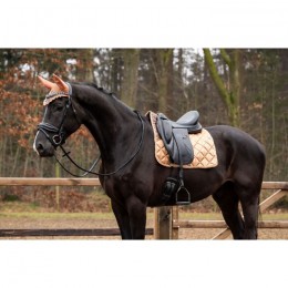 HB Showtime Saddle Pad Rio Collection