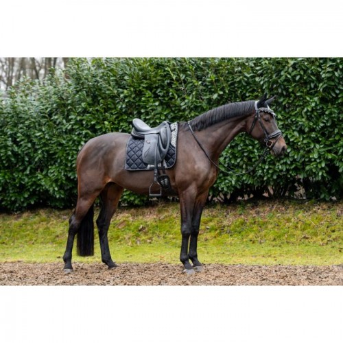 HB Showtime Saddle Pad Rio Collection