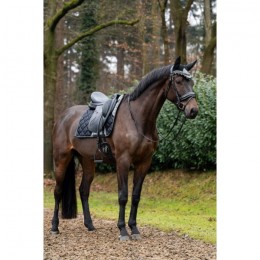 HB Showtime Saddle Pad Rio Collection