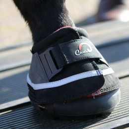 F.R.A. Cavallo Hoof Boot Transport