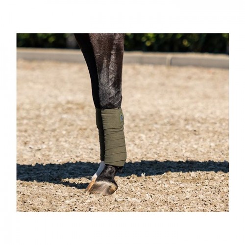 HB Showtime Crown Bandage Sets