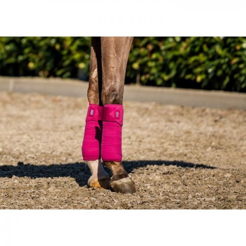 HB Showtime Crown Bandage Sets