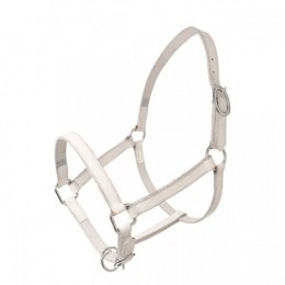 HB Leather Foal Halter