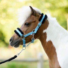 HB Little Sizes Sunny Flower Halter