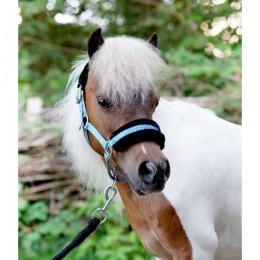 HB Little Sizes Sunny Flower Halter