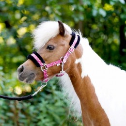 HB Little Sizes Sunny Flower Halter