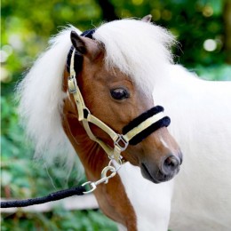 HB Little Sizes Sunny Flower Halter